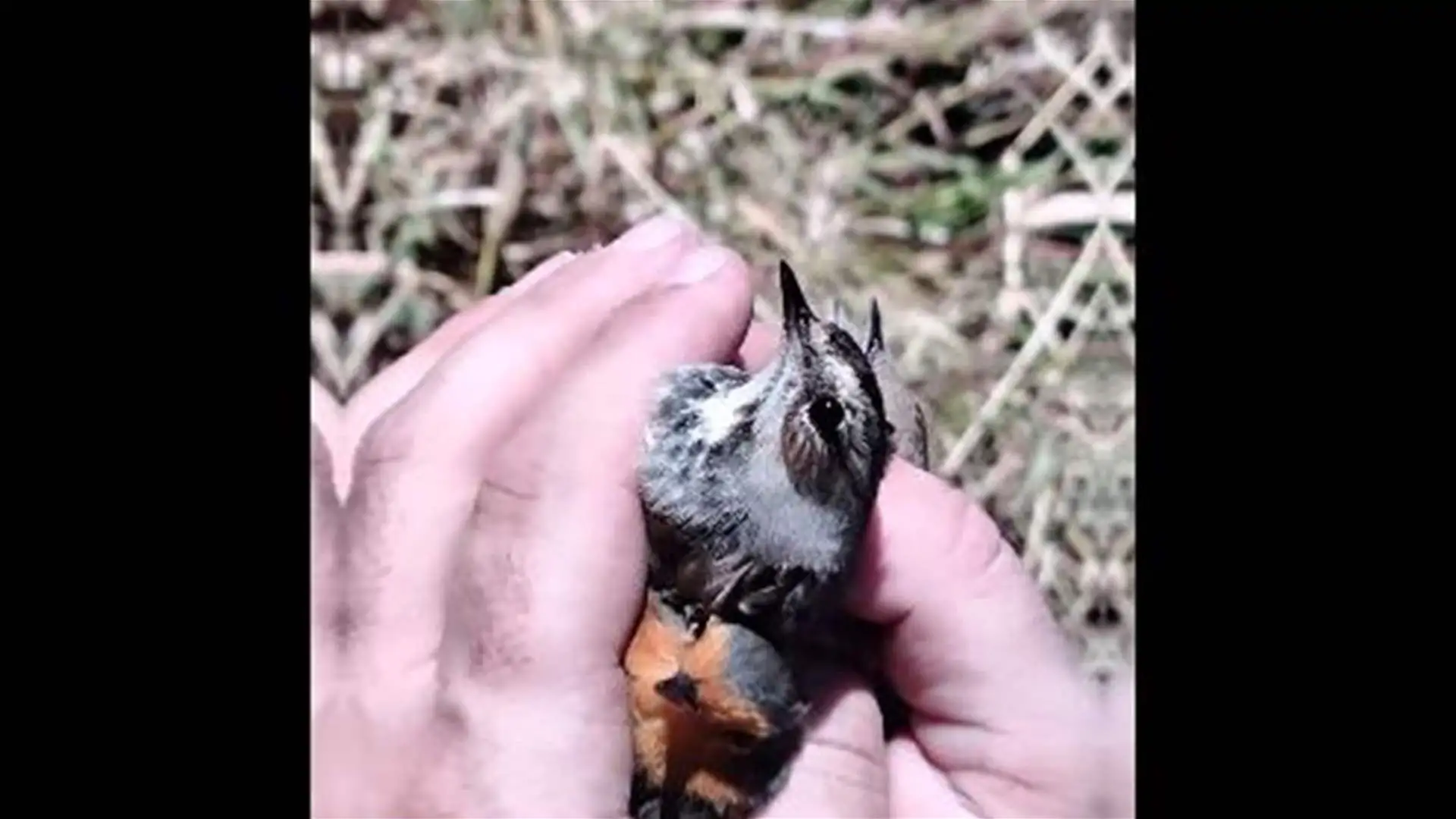 Doc-P-888956-638982073809210542