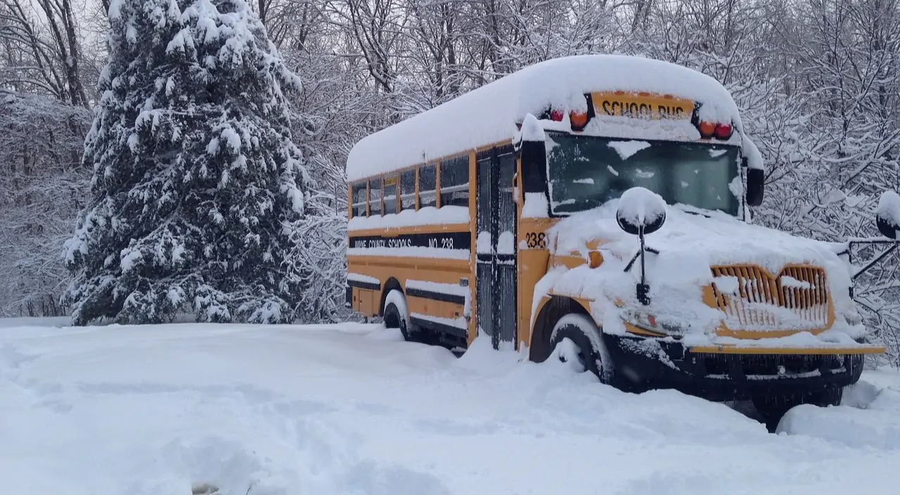 مع تجدّد العاصفة… هل تُقفل المدارس؟ أصدر المكتب الإعلامي في وزارة التربية والتعليم العالي، البيان الآتي: