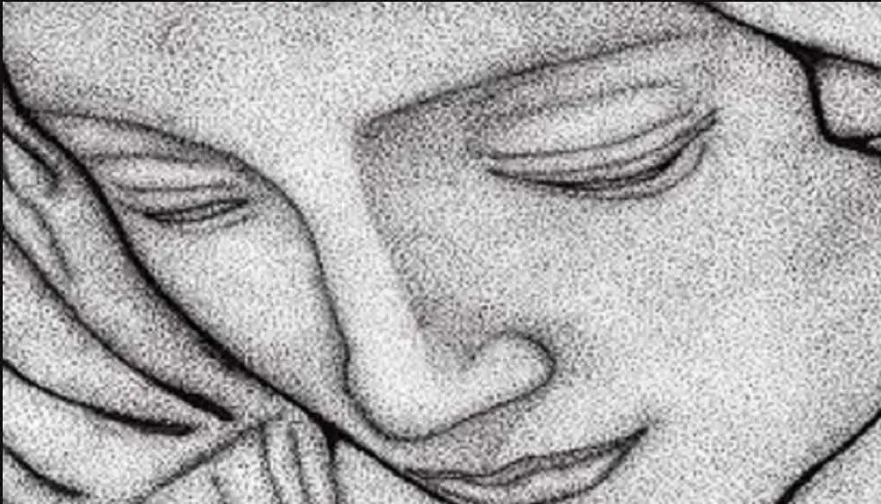 FB_IMG_1770031934573