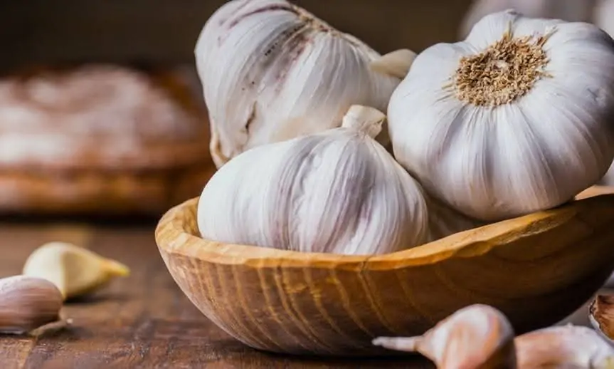 FB_IMG_1770186041444