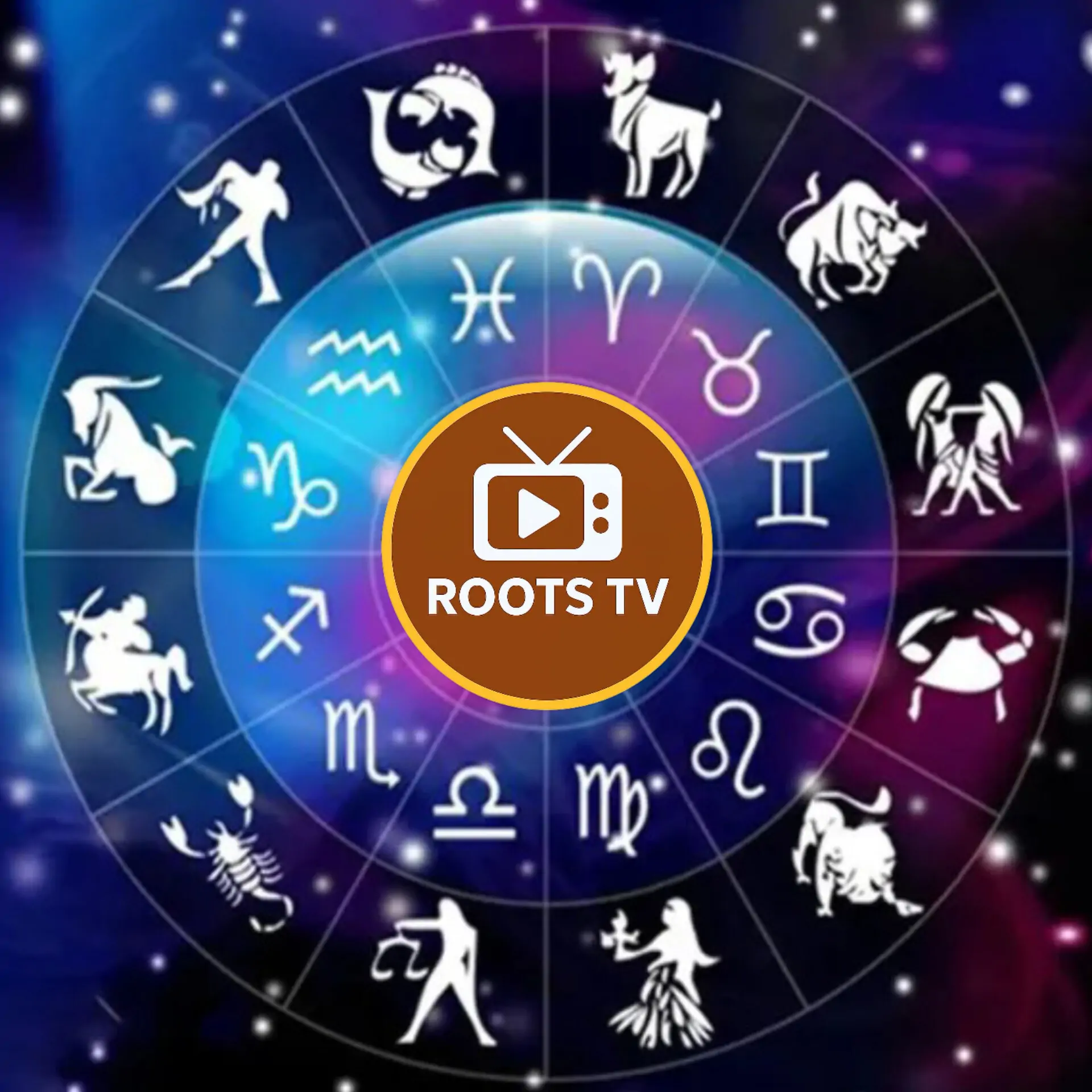 InShot202512120829333061